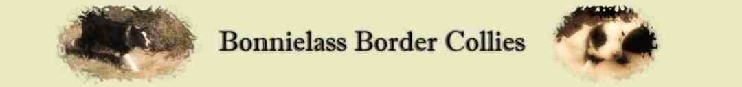 Bonnielass Border Collies