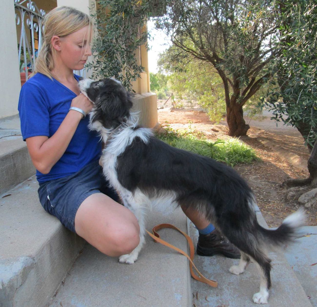 A young handler crouched beside a working border collie