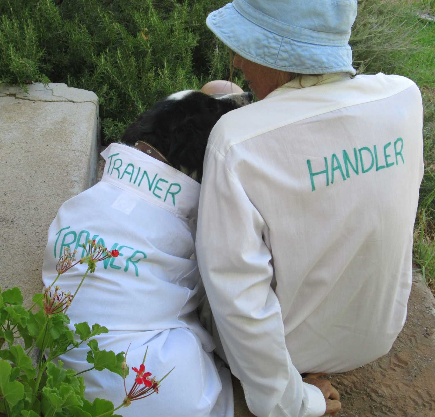Trainer and handler in painted overalls working with a collie